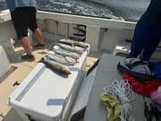 Fishing in Stevensville, Maryland