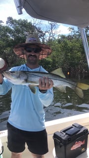 Fishing in St. Petersburg, Florida