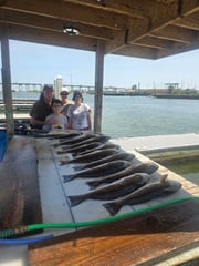 Fishing in Port Aransas, Texas