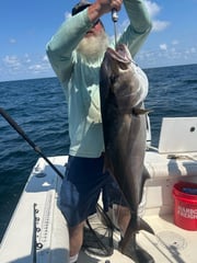 Fishing in Orange Beach, Alabama