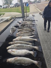 Fishing in Galveston, Texas