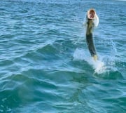 Fishing in Bradenton, Florida