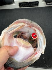 Fishing in Voss, Texas