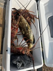 Fishing in Beaufort, North Carolina