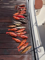 Fishing in Long Beach, California