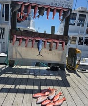 Fishing in Destin, Florida