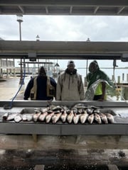 Fishing in Lake Charles, Louisiana