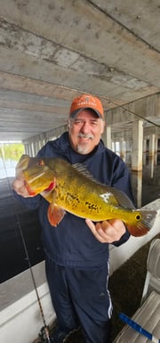 Fishing in Delray Beach, Florida