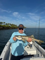 Fishing in Belleair Bluffs, Florida