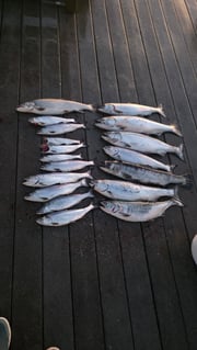 Fishing in Newaygo, Michigan