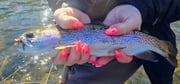 Fishing in Broken Bow, Oklahoma