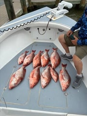 Fishing in Gulf Shores, Alabama