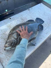 Fishing in Port Canaveral, Florida