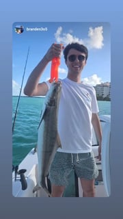 Fishing in Key Biscayne, Florida