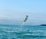 Fishing in Key West, Florida