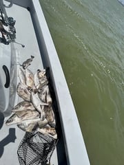 Fishing in Port Aransas, Texas
