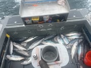 Fishing in Half Moon Bay, California