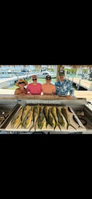 Fishing in Marathon, Florida
