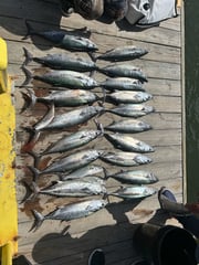 Fishing in Carolina Beach, North Carolina