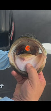 Fishing in Fort Lauderdale, Florida