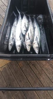 Fishing in Jacksonville, Florida