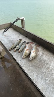 Fishing in Port Isabel, Texas
