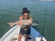 Fishing in St. Pete Beach, Florida