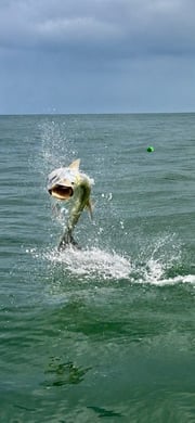 Fishing in Clearwater, Florida