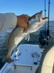 Fishing in Biloxi, Mississippi