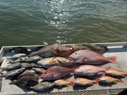 Fishing in Clearwater, Florida