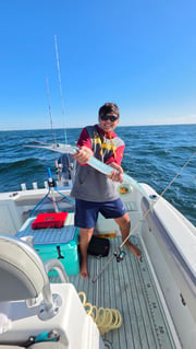 Fishing in Stone Harbor, New Jersey