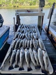 Fishing in Saint Bernard, Louisiana