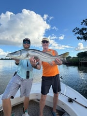 Fishing in Sarasota, Florida