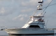 Fishing in Pensacola, Florida