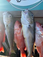 Fishing in Port O'Connor, Texas
