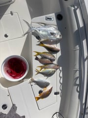 Fishing in Key Largo, Florida