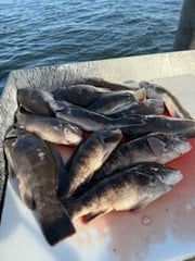 Fishing in Highlands, New Jersey