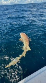 Fishing in Panama City, Florida