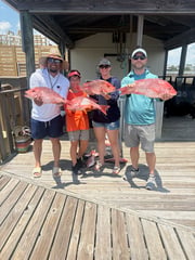 Fishing in Orange Beach, Alabama