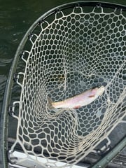 Fishing in Heber Springs, Arkansas