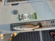 Fishing in Panama City, Florida