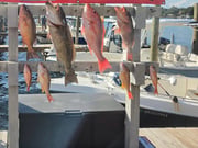 Fishing in Panama City, Florida