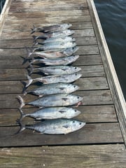 Fishing in Carolina Beach, North Carolina