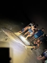 Fishing in Destin, Florida