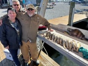 Fishing in New Orleans, Louisiana