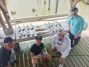 Black Drum, Redfish Fishing in Houston, Texas