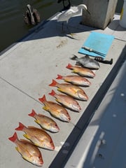 Fishing in Port Orange, Florida