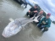 Fishing in Fraser Valley, Canada