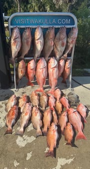 Fishing in Panacea, Florida