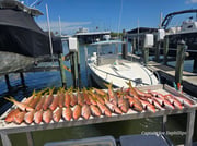 Fishing in St. Petersburg, Florida